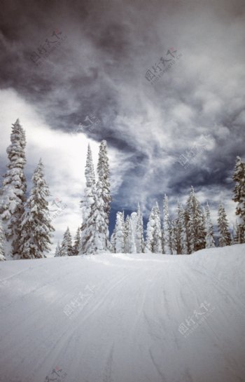 自然雪景摄影图片图片