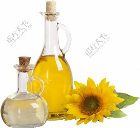 葵花油和油瓶图片