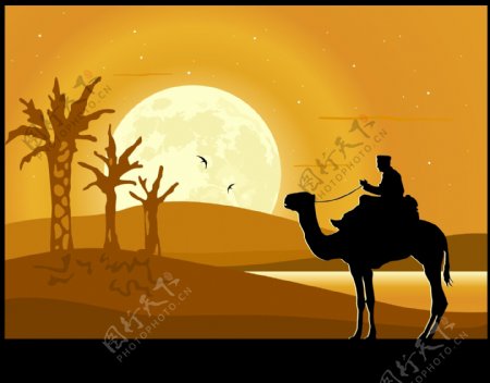 沙漠骆驼人物剪影