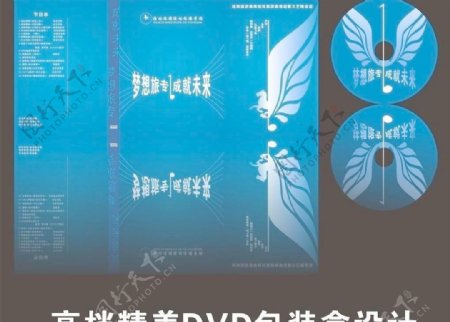 dvd包装封套设计图片模板下载
