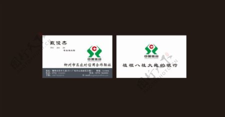 中国信合名片设计