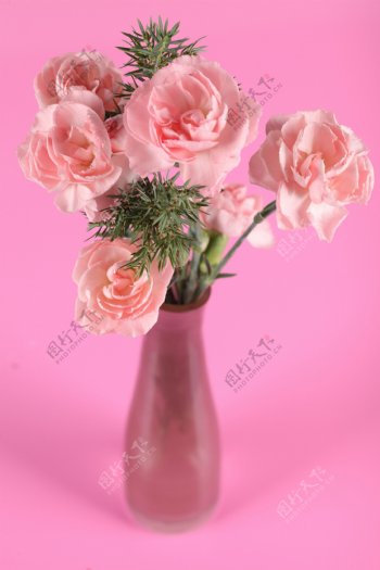 粉色玫瑰花瓶图片
