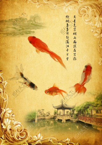 中国元素金鱼海报