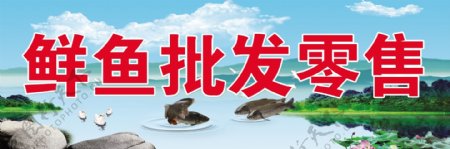 鲜鱼批发零售海报