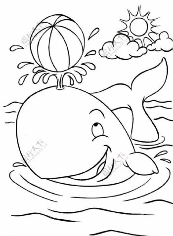 硅藻泥花纹海豚表演
