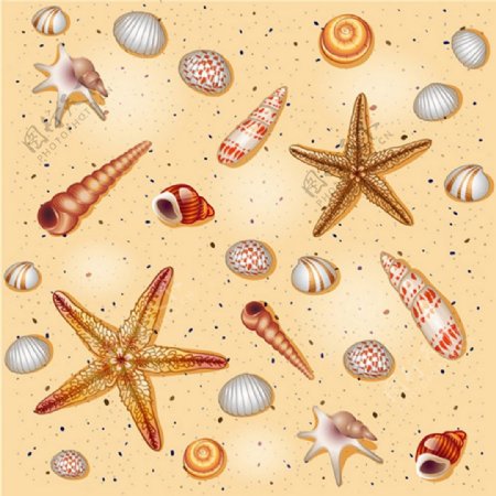 沙滩海洋生物贝壳矢量图