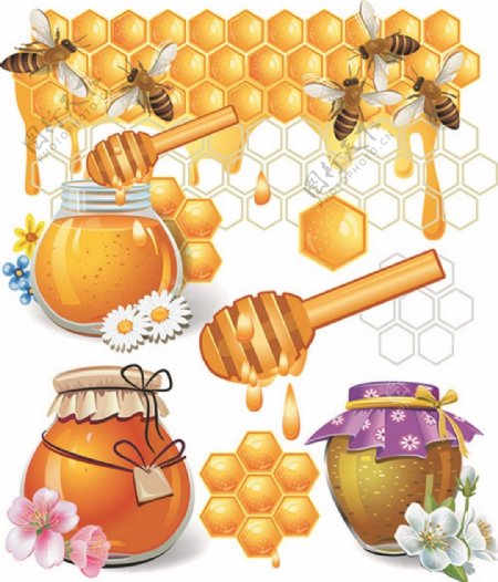 美味蜂蜜矢量图