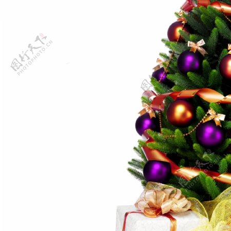 圣诞树与礼物图片素材