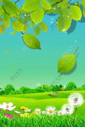 清新自然绿色春天树叶草地信纸海报背景