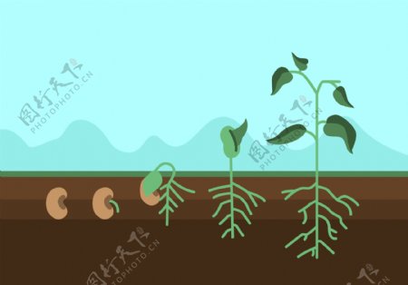 植物种植素材插画