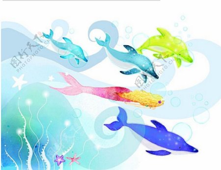 海底彩色鱼群插画图片
