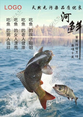 饭店海鲜鲤鱼海报宣传单