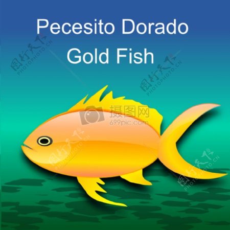 佩斯多拉多金鱼