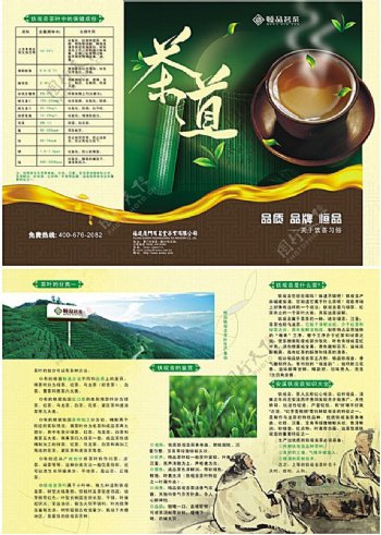 茶叶三折页