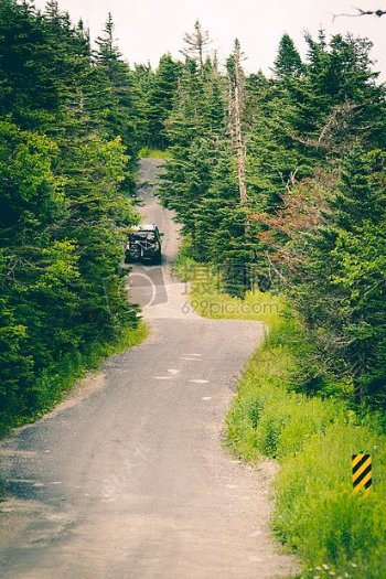 道路自然森林道路汽车曲线探险旅行森林旅游路径