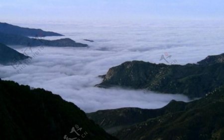 山涧云海视频素材