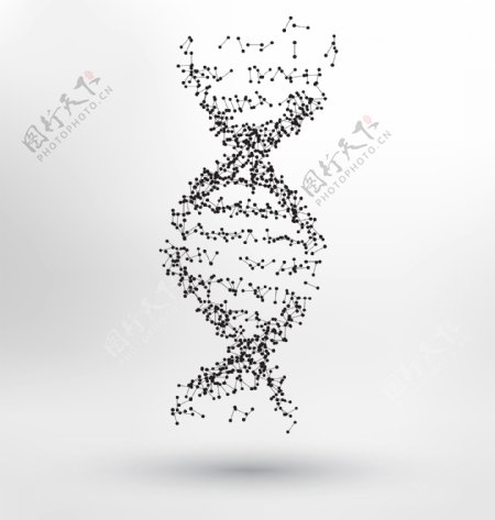 摘要人类DNA