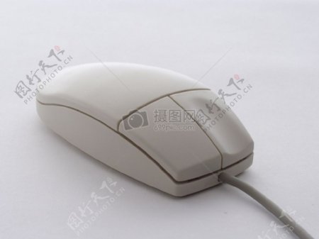 mouse0015.jpg