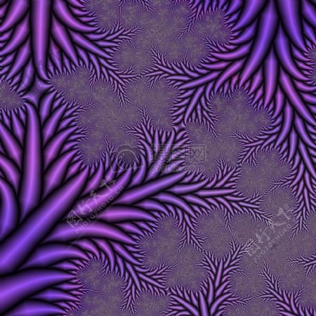紫色的花纹图案