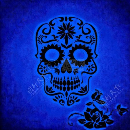 骷髅和交叉骨玫瑰背景蓝色光明