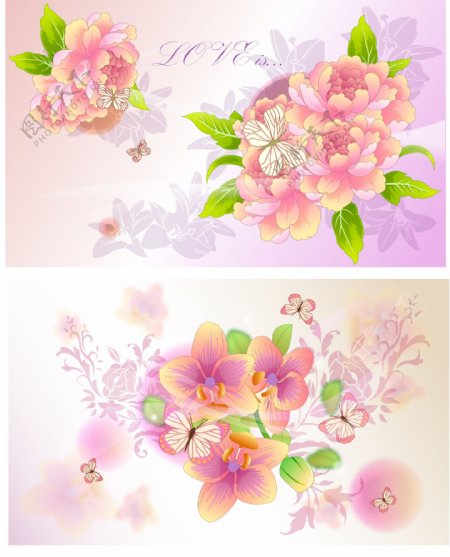花朵海报
