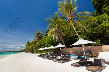 海边沙滩上的躺椅和遮阳伞图片