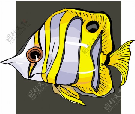 五彩小鱼水生动物矢量素材EPS格式0388