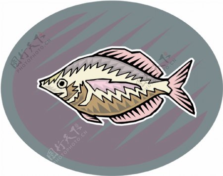 五彩小鱼水生动物矢量素材EPS格式0513
