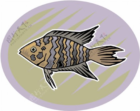 五彩小鱼水生动物矢量素材EPS格式0732