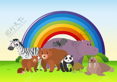 野外有彩虹的野生动物