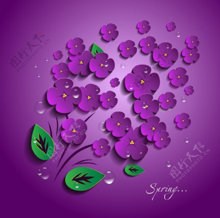 紫色立体花朵