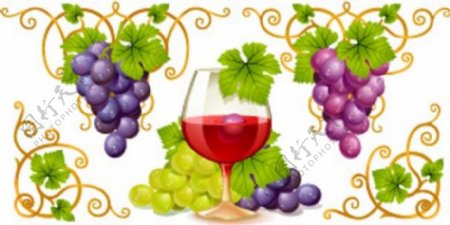 紫色葡萄与葡萄酒图片