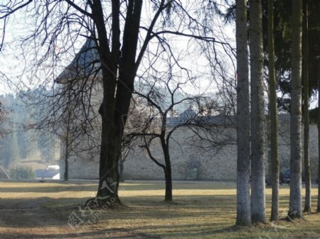 苏切维察树教会墙