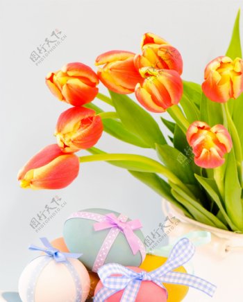 郁金香花卉与彩蛋图片