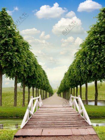 美丽木桥风景图片