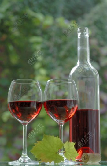 葡萄园与葡萄美酒摄影图片