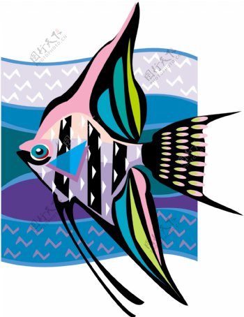 五彩小鱼水生动物矢量素材EPS格式0191