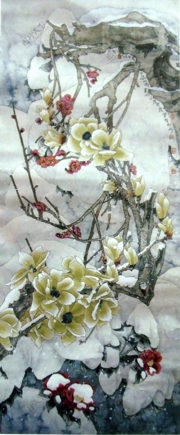 冬天花卉植物装饰画图片