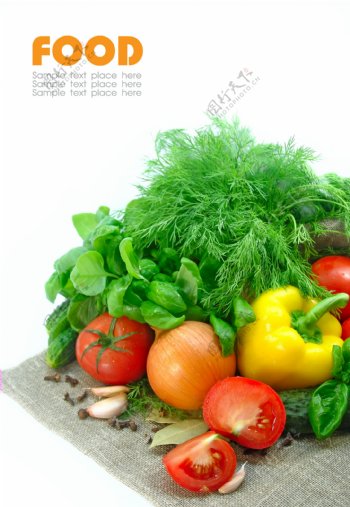 新鲜蔬菜摄影图片