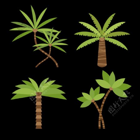 手绘棕榈树椰子树免抠png透明图层素材