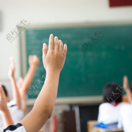 课堂上举起的手图片