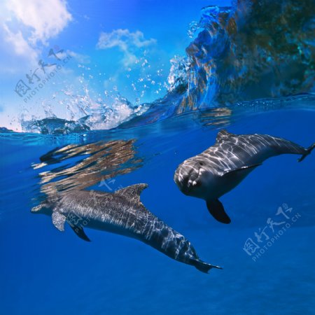海底世界高清摄影图图片