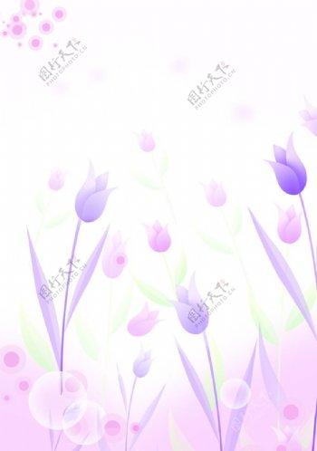 紫薇