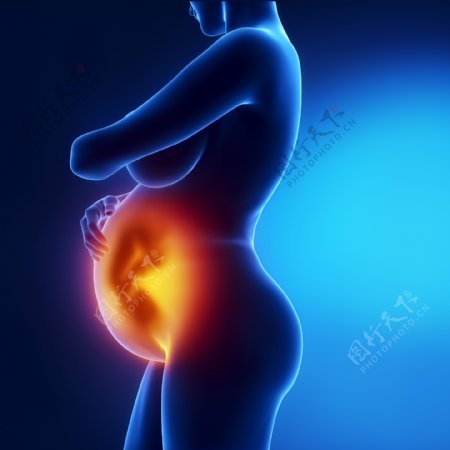 孕妇胎儿图片