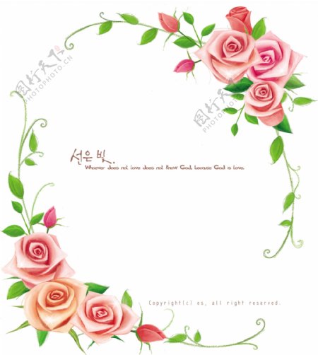 玫瑰花与藤蔓边框设计PSD分层素材
