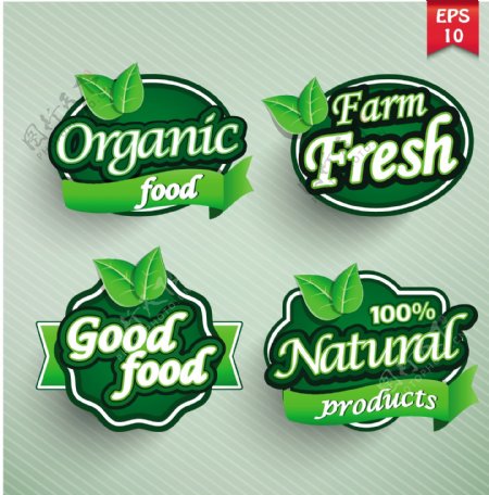 绿色食品标签设计矢量素材