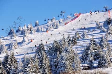 滑雪公园风景图片