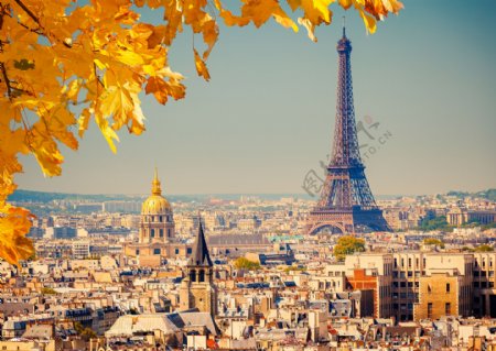 秋天树叶与巴黎风景