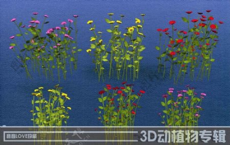高清3D花卉