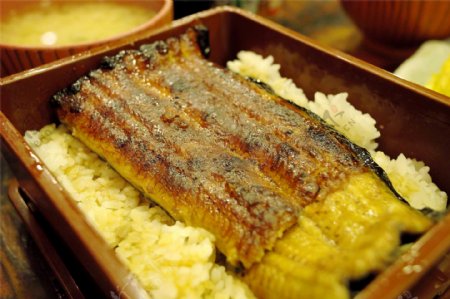 美味的日式鳗鱼饭图片